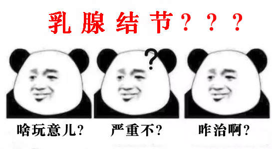 202403060928141263.Png